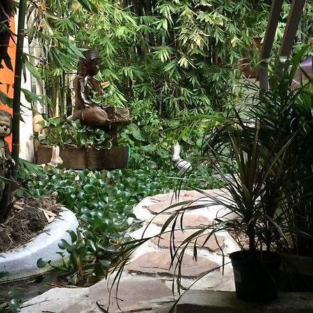 Mi Aldea Holistica Hotell Mexico City Exteriör bild