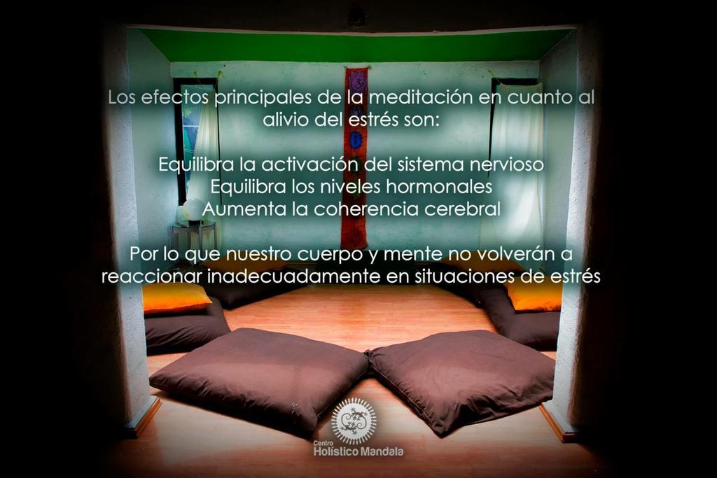 Mi Aldea Holistica Hotell Mexico City Exteriör bild