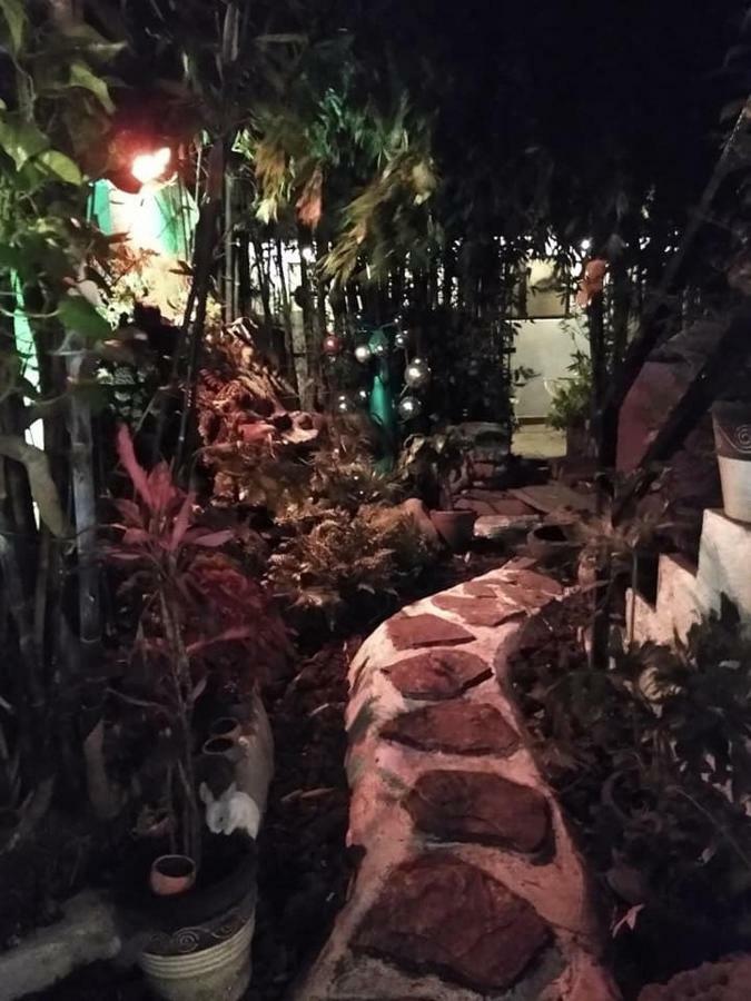 Mi Aldea Holistica Hotell Mexico City Exteriör bild